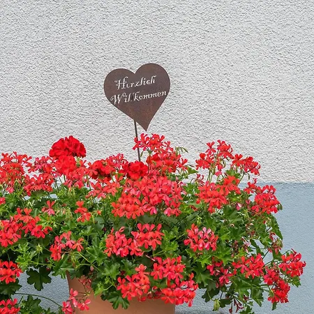 Daire Alpenhaus Thurnher